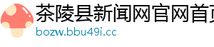 茶陵县新闻网官网首页